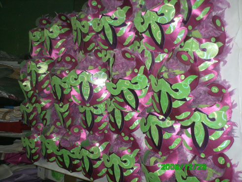 foto 06