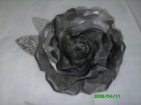 foto 001