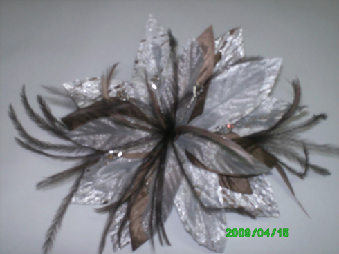 foto 001