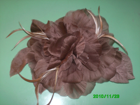 foto 013