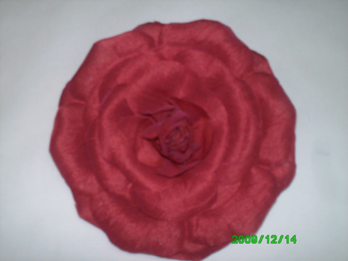foto 001