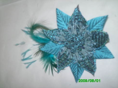 foto 001