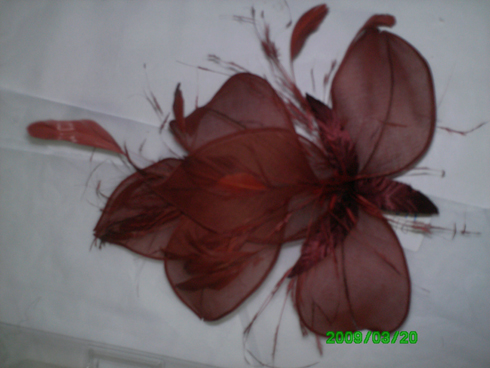 foto 002