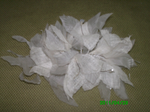 foto 003