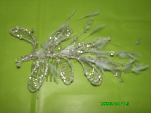foto 003