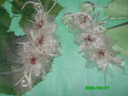 foto 004