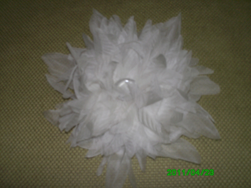 foto 004