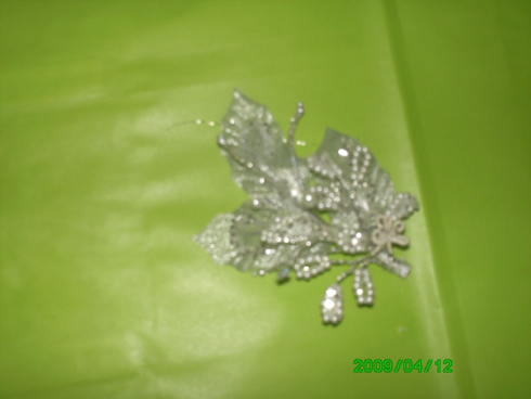 foto 005