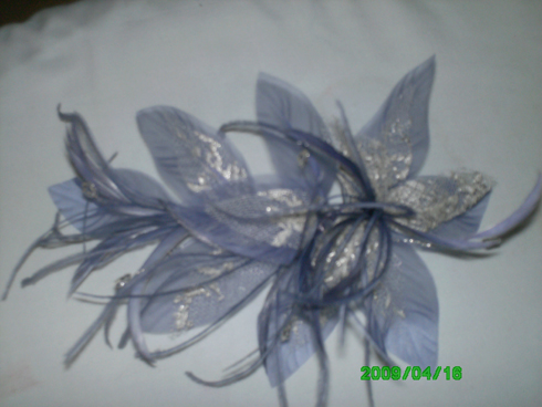 foto 005