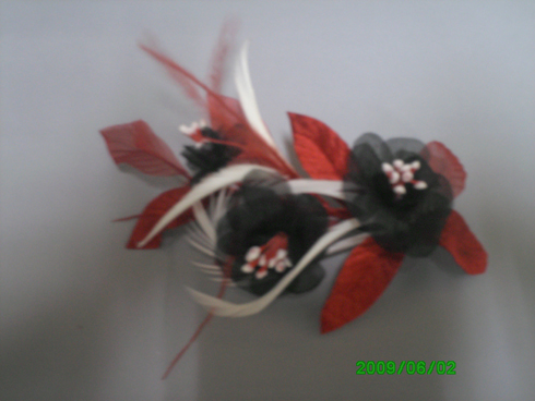 foto 006