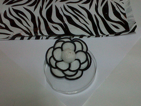 foto 8